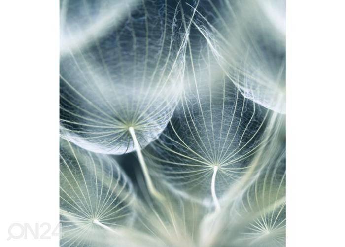 Non-woven kuvatapetti Dandelion macro 225x250 cm kuvasuurennos