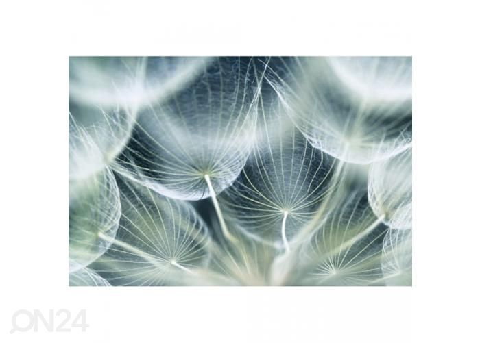 Non-woven kuvatapetti Dandelion macro 375x250 cm kuvasuurennos