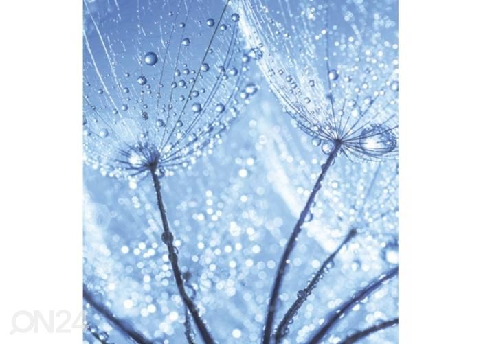 Non-woven kuvatapetti Dandelion waterdrops 225x250 cm kuvasuurennos