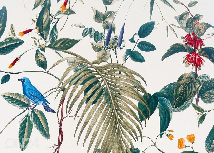 Non-woven kuvatapetti Exotic Garden kuvasuurennos