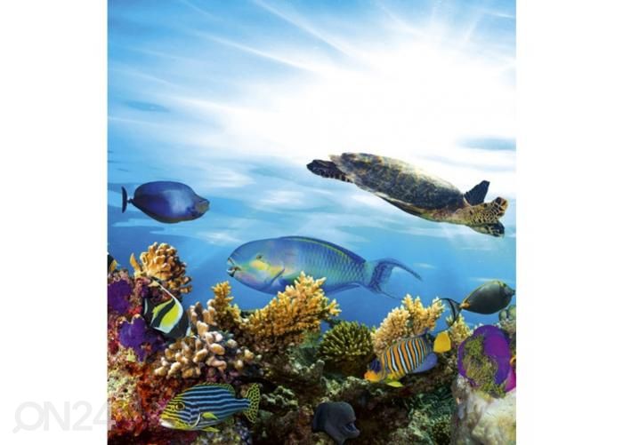 Non-woven kuvatapetti Fish 225x250 cm kuvasuurennos