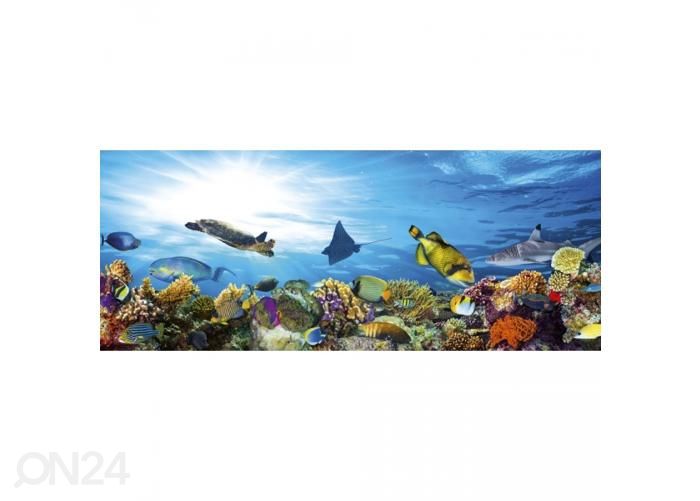 Non-woven kuvatapetti Fish 375x150 cm kuvasuurennos