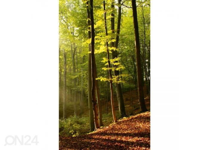 Non-woven kuvatapetti Forest 150x250 cm kuvasuurennos