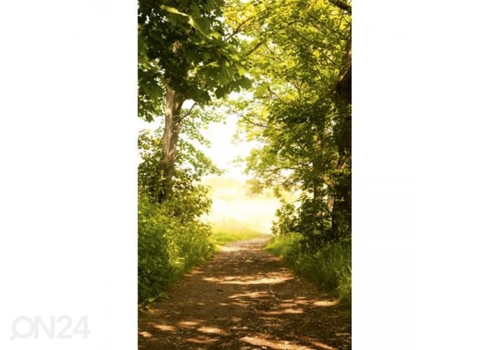 Non-woven kuvatapetti Forest path 150x250 cm kuvasuurennos