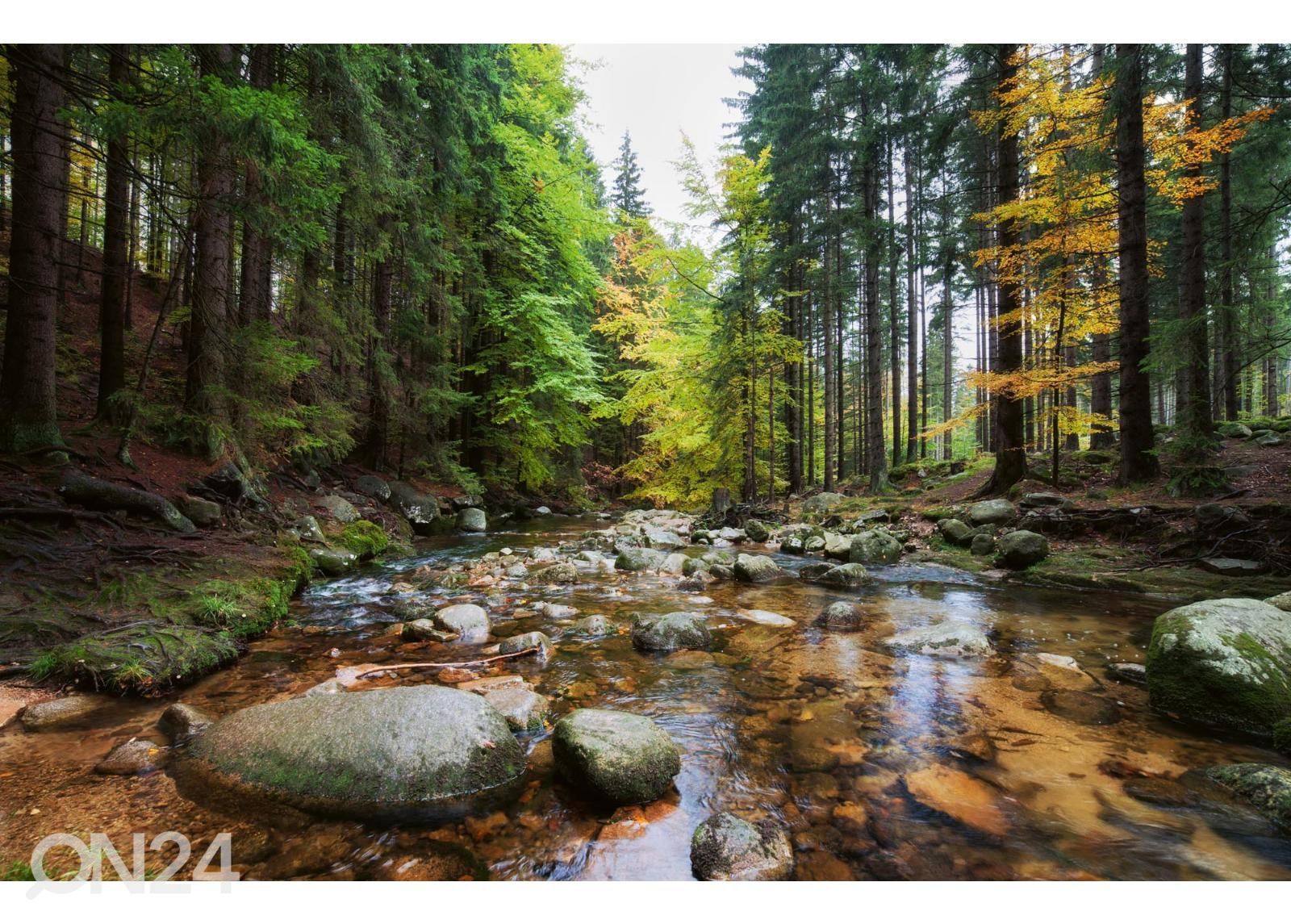 Non-woven kuvatapetti Forest Stream kuvasuurennos