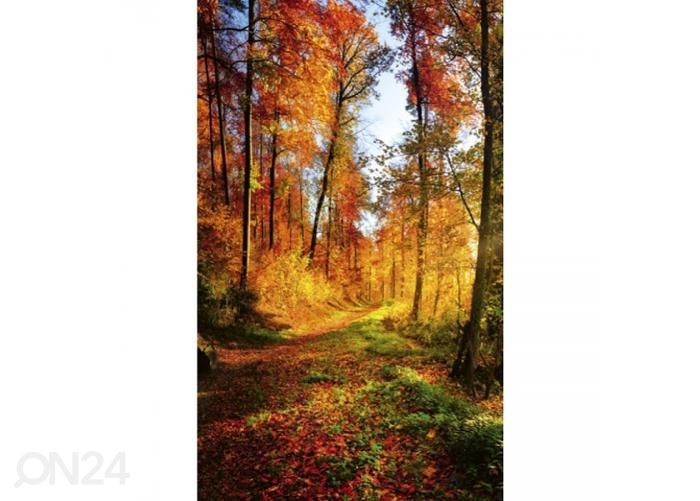 Non-woven kuvatapetti Forest walk 150x250 cm kuvasuurennos