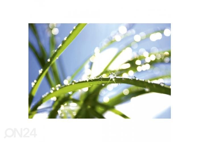 Non-woven kuvatapetti Grass 375x250 cm kuvasuurennos