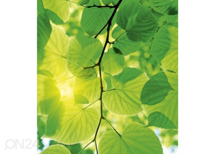 Non-woven kuvatapetti Green leaves 225x250 cm kuvasuurennos