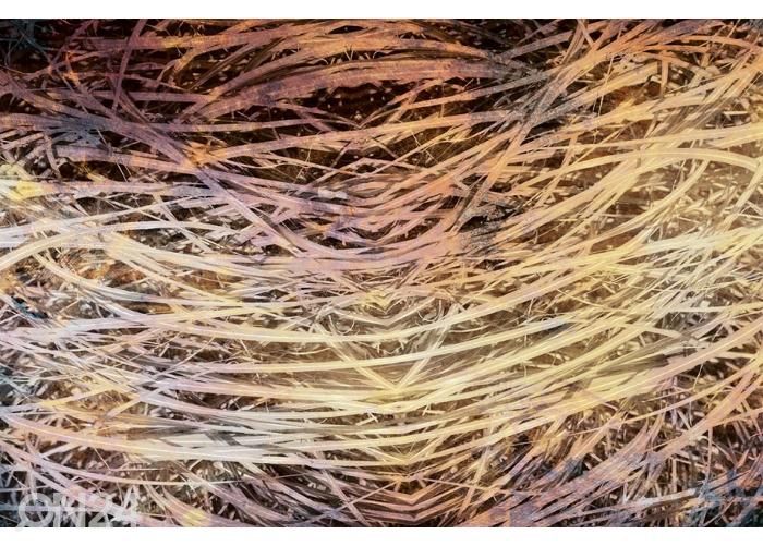 Non-woven kuvatapetti Hay Abstract I 150x250 cm kuvasuurennos