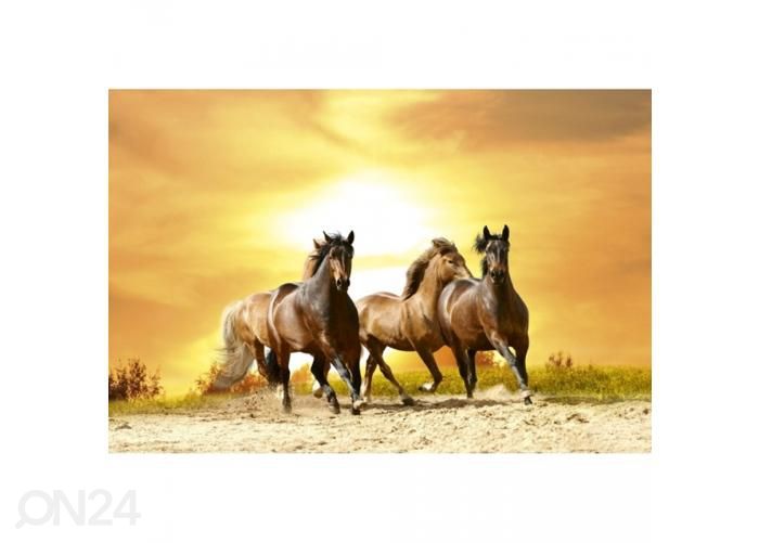 Non-woven kuvatapetti Horses in sunset 375x250 cm kuvasuurennos