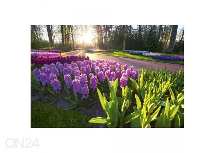 Non-woven kuvatapetti Hyacint flowers 375x250 cm kuvasuurennos