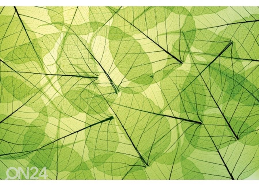 Non-woven kuvatapetti Leaf veins 150x250 cm kuvasuurennos