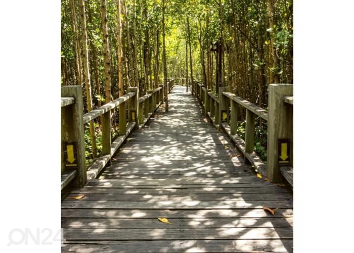 Non-woven kuvatapetti Mangrove forest 225x250 cm kuvasuurennos