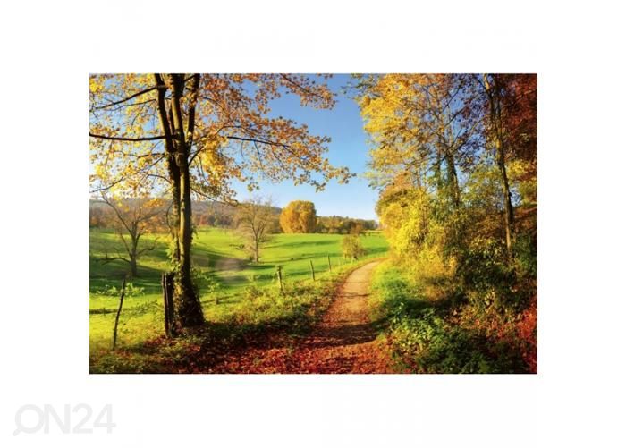 Non-woven kuvatapetti Meadow 375x250 cm kuvasuurennos