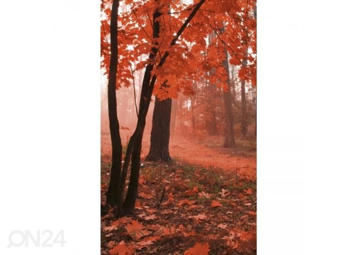 Non-woven kuvatapetti Misty forest 150x250 cm kuvasuurennos