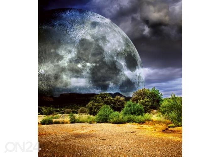 Non-woven kuvatapetti Moon 225x250 cm kuvasuurennos