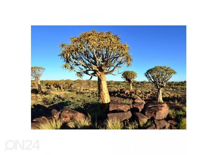 Non-woven kuvatapetti Namibia 375x250 cm kuvasuurennos