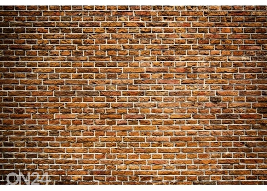 Non-woven kuvatapetti Old brick 150x250 cm kuvasuurennos
