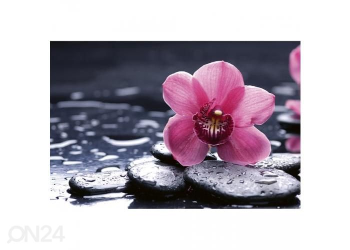 Non-woven kuvatapetti Orchid 375x250 cm kuvasuurennos