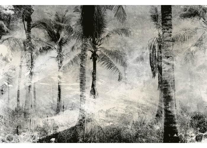 Non-woven kuvatapetti Palm Trees Abstract 150x250 cm kuvasuurennos