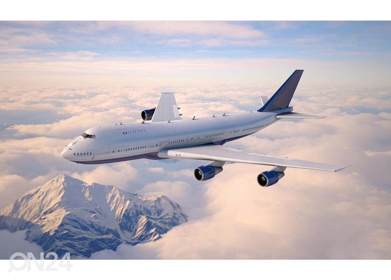 Non-woven kuvatapetti Passenger Aircraft kuvasuurennos