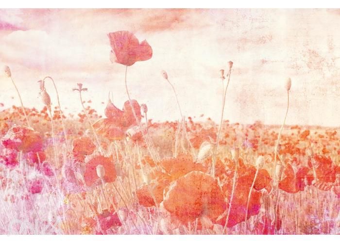 Non-woven kuvatapetti Poppies Abstract 150x250 cm kuvasuurennos