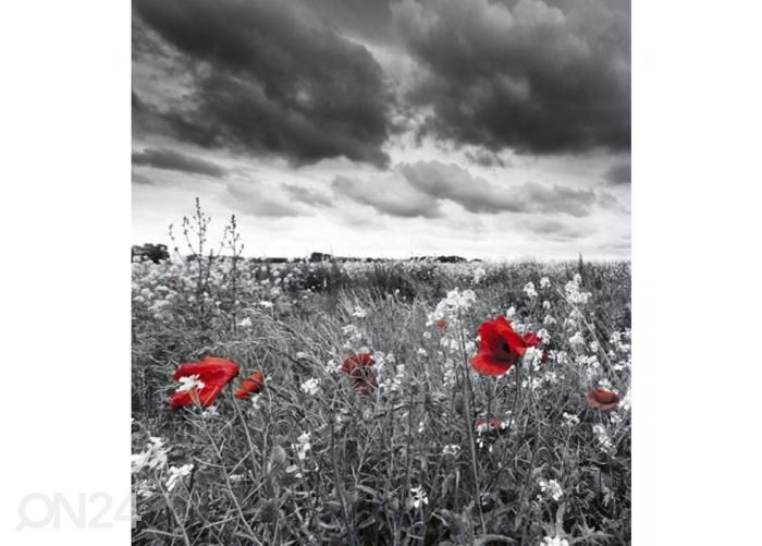 Non-woven kuvatapetti Poppies black 225x250 cm kuvasuurennos