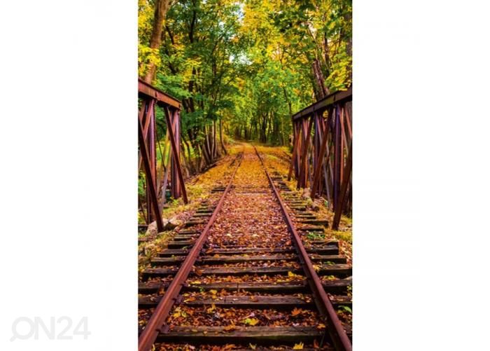 Non-woven kuvatapetti Railroad 150x250 cm kuvasuurennos