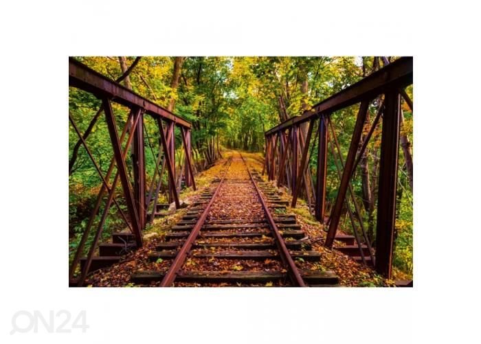 Non-woven kuvatapetti Railroad 375x250 cm kuvasuurennos