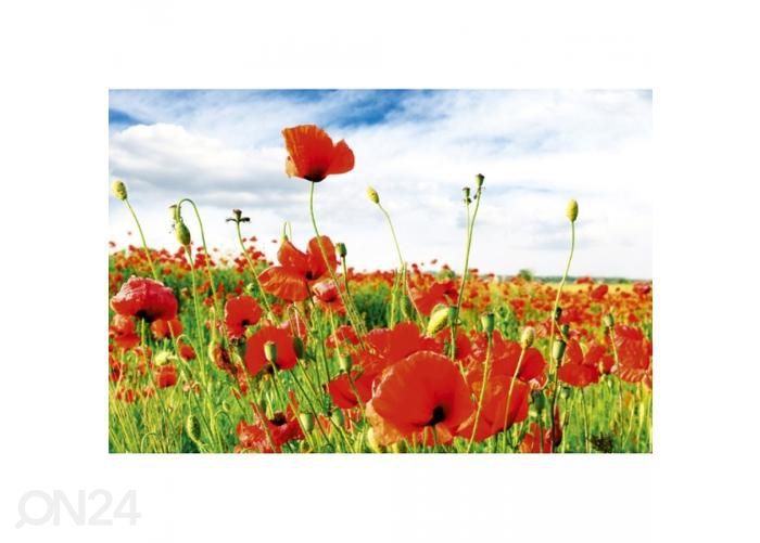 Non-woven kuvatapetti Red poppies 375x250 cm kuvasuurennos