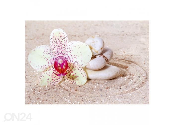 Non-woven kuvatapetti Relaxation sand 375x250 cm kuvasuurennos