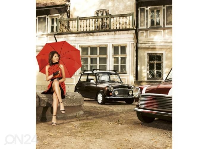Non-woven kuvatapetti Retro 225x250 cm kuvasuurennos