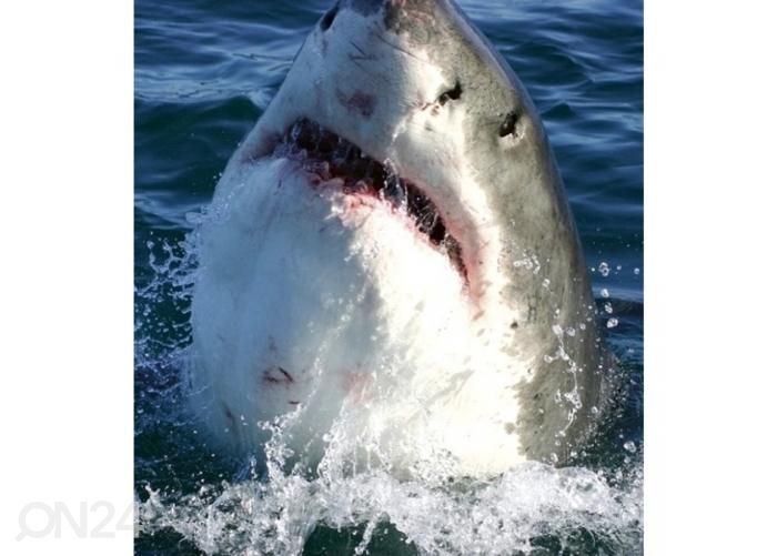 Non-woven kuvatapetti Shark 225x250 cm kuvasuurennos