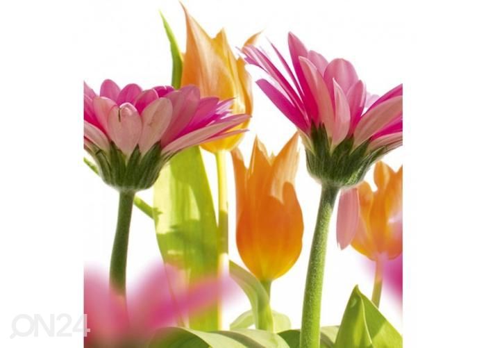 Non-woven kuvatapetti Spring flowers 225x250 cm kuvasuurennos