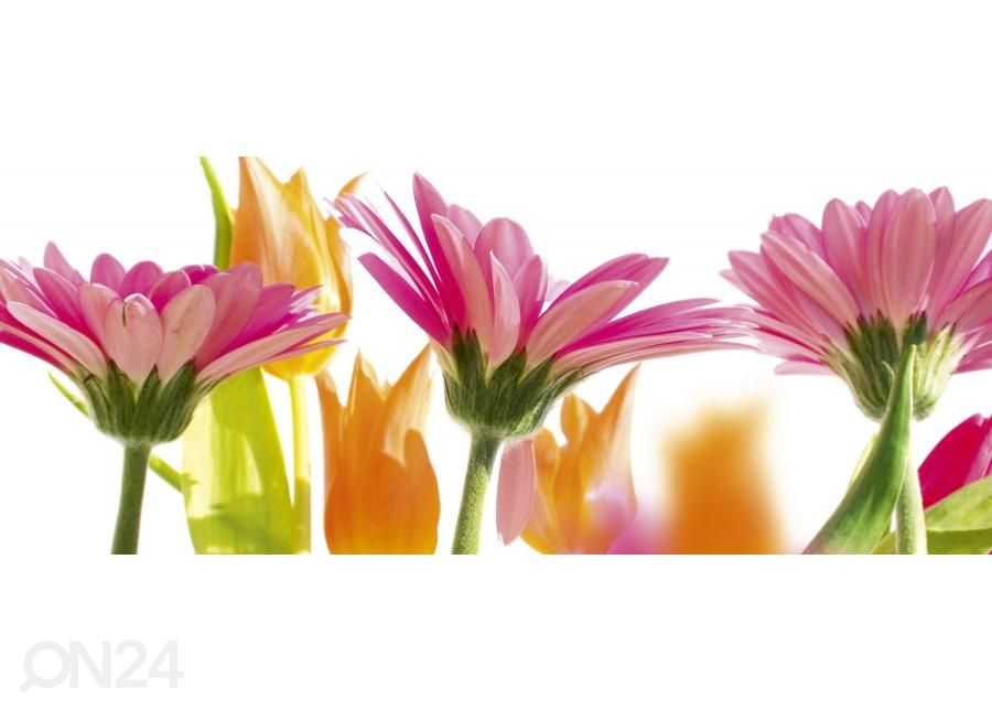 Non-woven kuvatapetti Spring flowers 375x150 cm kuvasuurennos