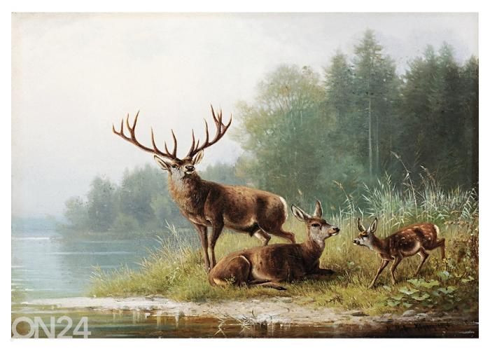 Non-woven kuvatapetti Stag at a Lake by Moritz Müller 368x254 cm kuvasuurennos