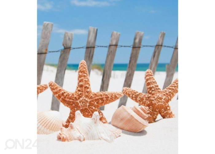 Non-woven kuvatapetti Starfish 225x250 cm kuvasuurennos