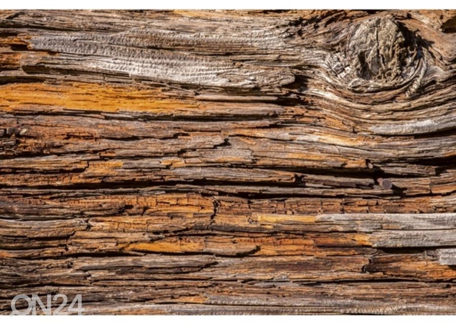 Non-woven kuvatapetti Tree bark 150x250 cm kuvasuurennos