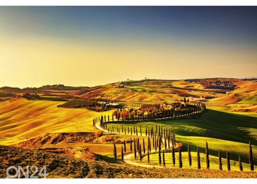 Non-woven kuvatapetti Tuscany 375x150 cm kuvasuurennos