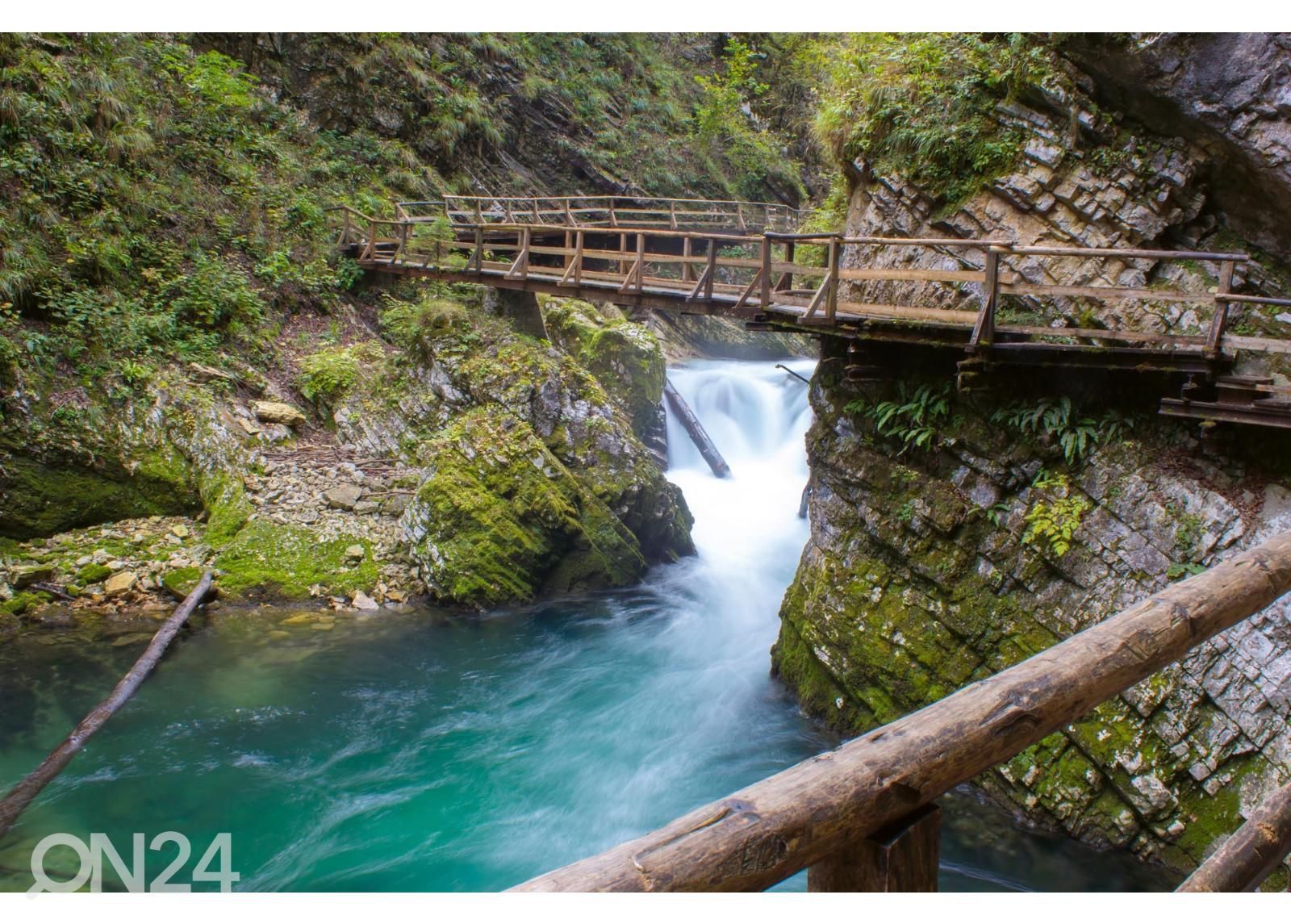 Non-woven kuvatapetti Vintgar Gorge kuvasuurennos