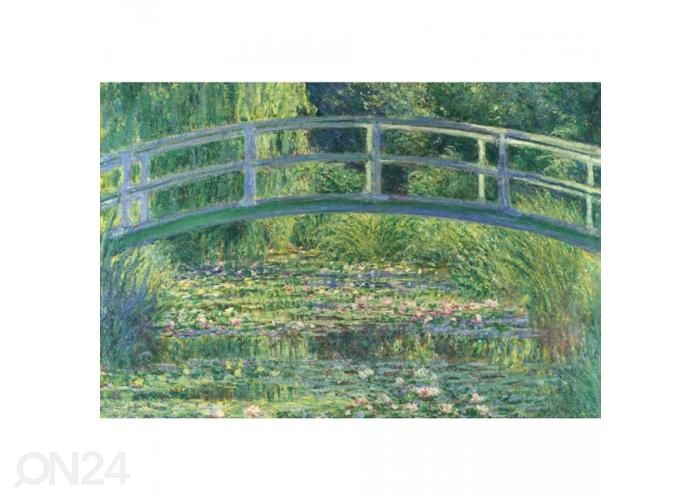 Non-woven kuvatapetti Water lily 375x250 cm kuvasuurennos