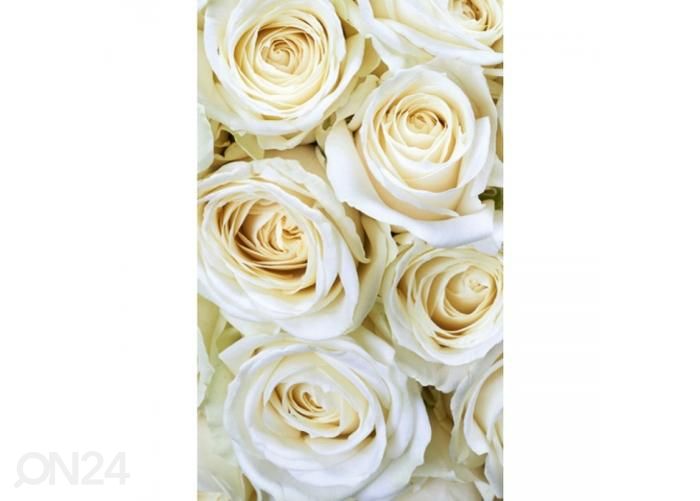 Non-woven kuvatapetti White roses 150x250 cm kuvasuurennos