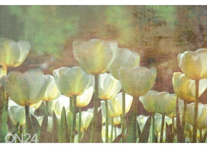 Non-woven kuvatapetti White Tulips Abstract 375x250 cm kuvasuurennos