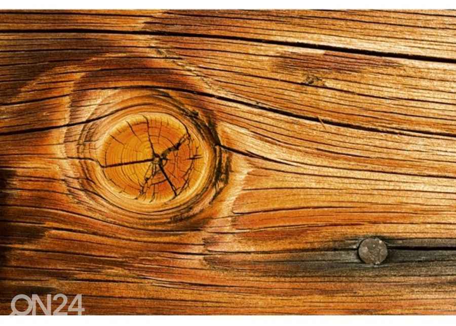 Non-woven kuvatapetti Wood knot 150x250 cm kuvasuurennos