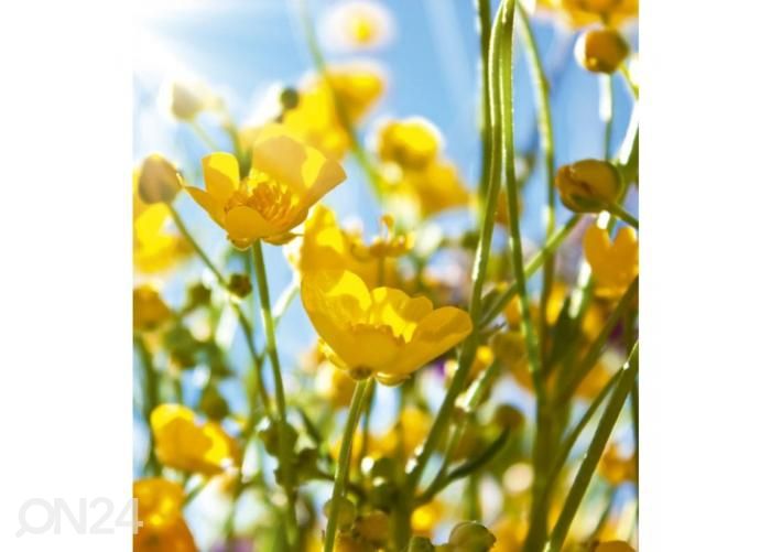 Non-woven kuvatapetti Yellow flowers 225x250 cm kuvasuurennos