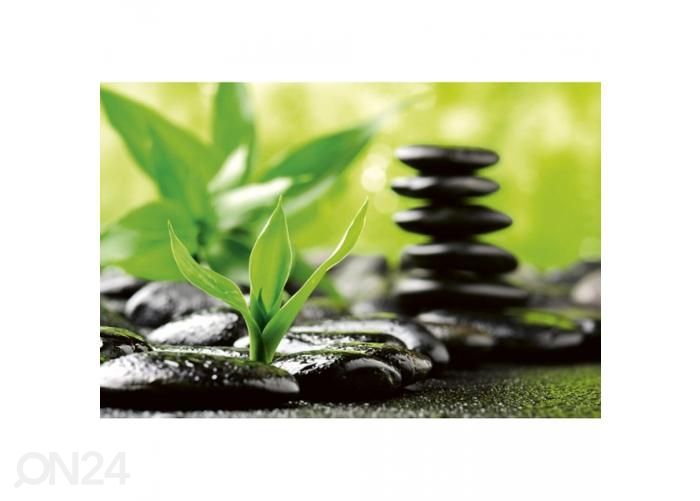 Non-woven kuvatapetti Zen stones 375x250 cm kuvasuurennos