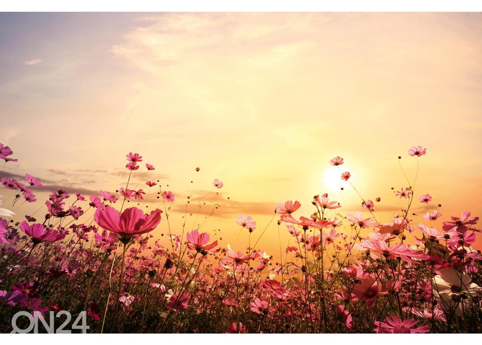 Non-woven kuvatapettiFlower Field kuvasuurennos