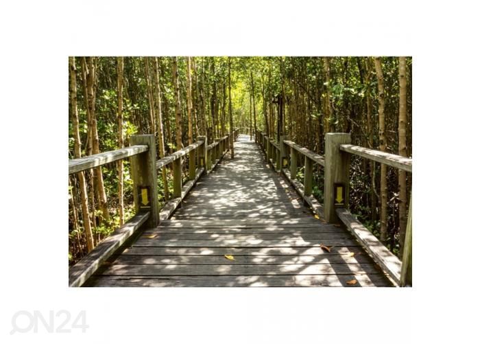 Non-woven tapetti Mangrove forest 375x250 cm kuvasuurennos