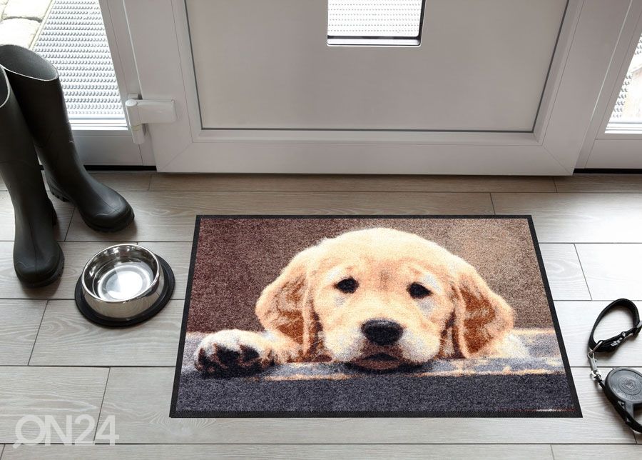 Ovimatto NOSY DOG 50x75 cm kuvasuurennos