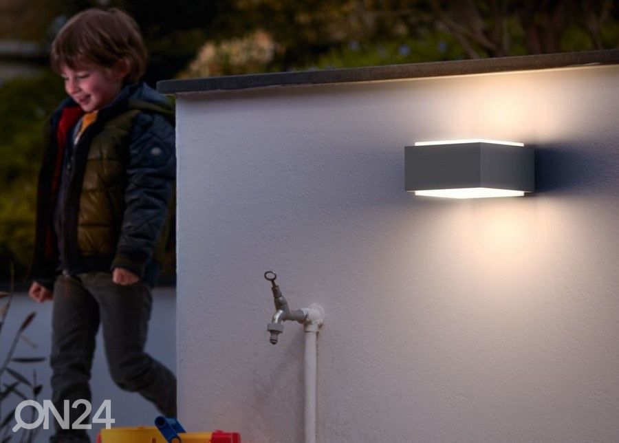 Philips Hedgehog seinävalaisin E27 kuvasuurennos